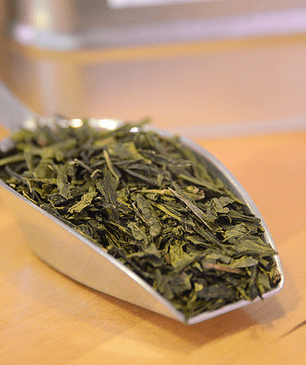 the-vert-sencha-bio